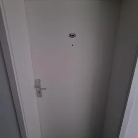 Garsoniera Zebra * Μπρασόβ